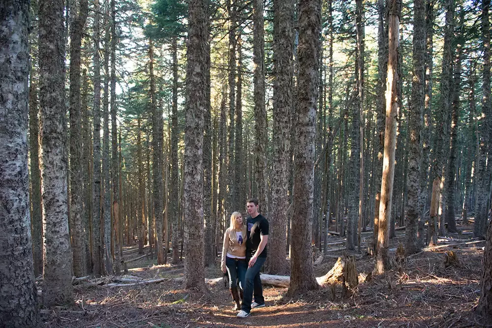 mountain engagement photos, a couple stands in the forest together Unforgettable Moment - Mountain Engagement Photos 
with
​ Photojournalist Photographer Robert Knapp